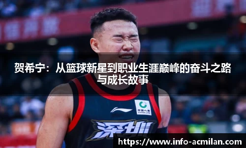 贺希宁：从篮球新星到职业生涯巅峰的奋斗之路与成长故事