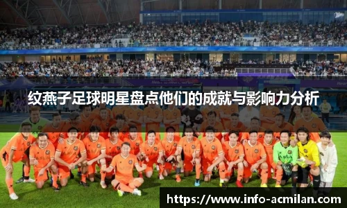 纹燕子足球明星盘点他们的成就与影响力分析